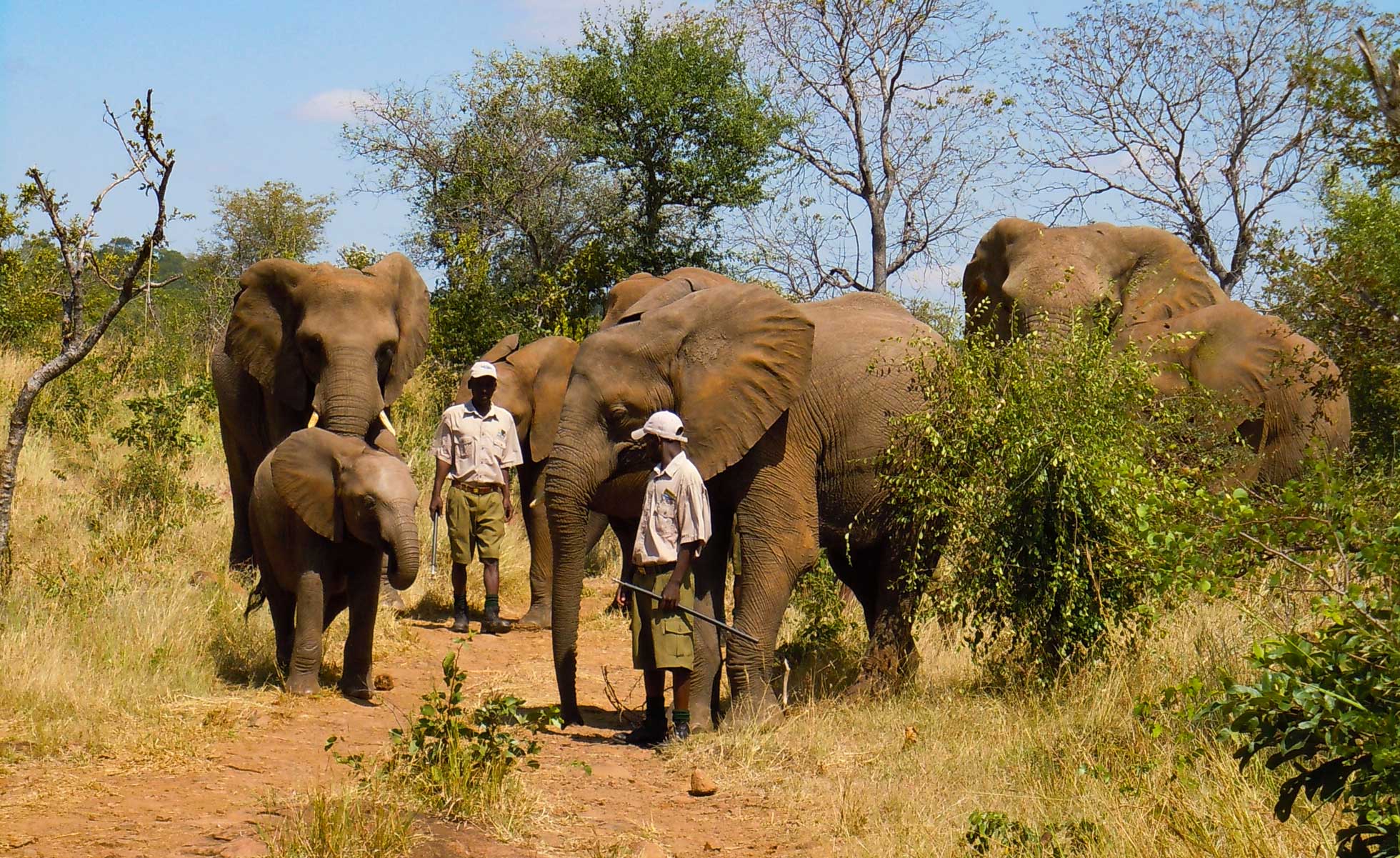 Botswana Zimbabwe