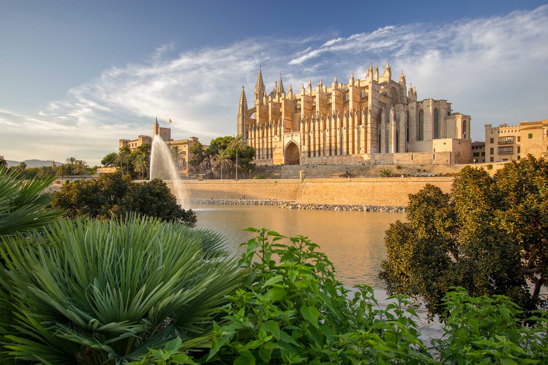 Stadsvandring med katedralen under konferensresan till Palma de Mallorca