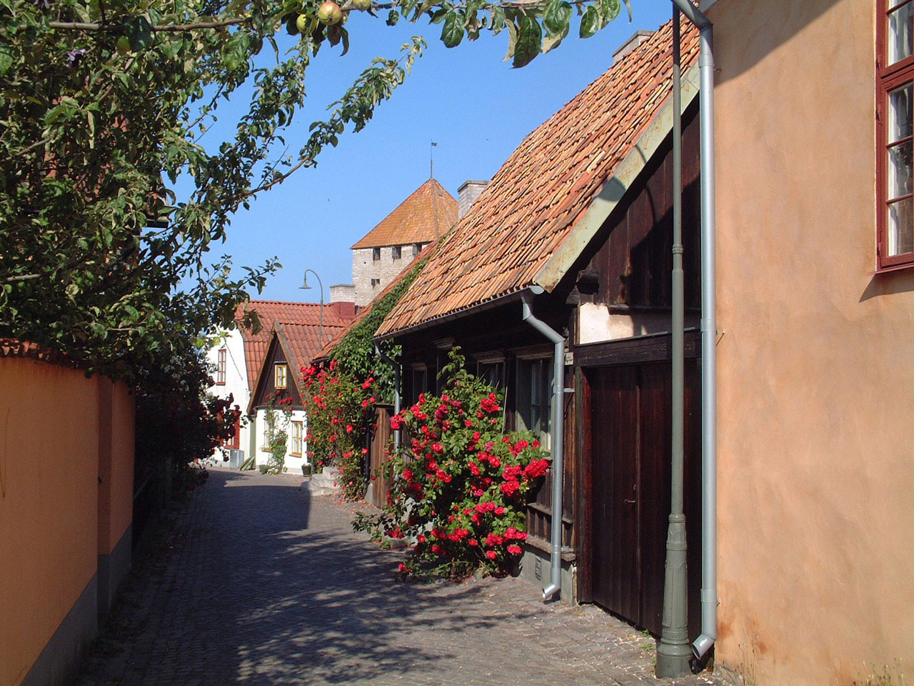 Rosornas stad Visby