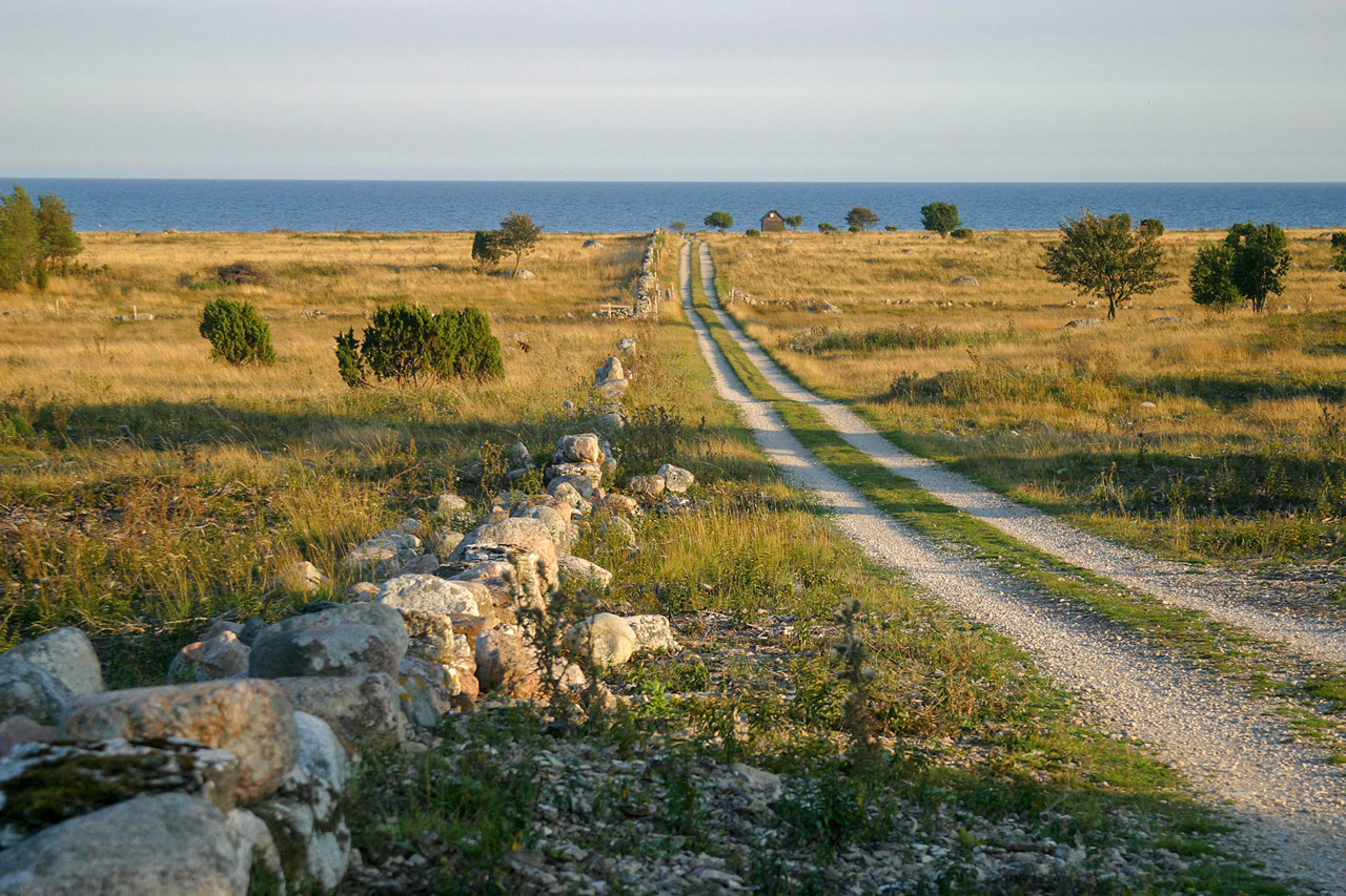 Gotländsk natur Visby Gotland